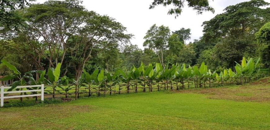 ที่ดิน วิวสวย บรรยากาศดี ใกล้ชิดธรรมชาติ ต.แม่เหียะ อ.เมืองเชียงใหม่ ใกล้พืชสวนโลก