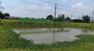 Land in good location, next to the main road, San Kamphaeng Subdistrict, San Kamphaeng District, near Somwang Village New Sankamphaeng Road