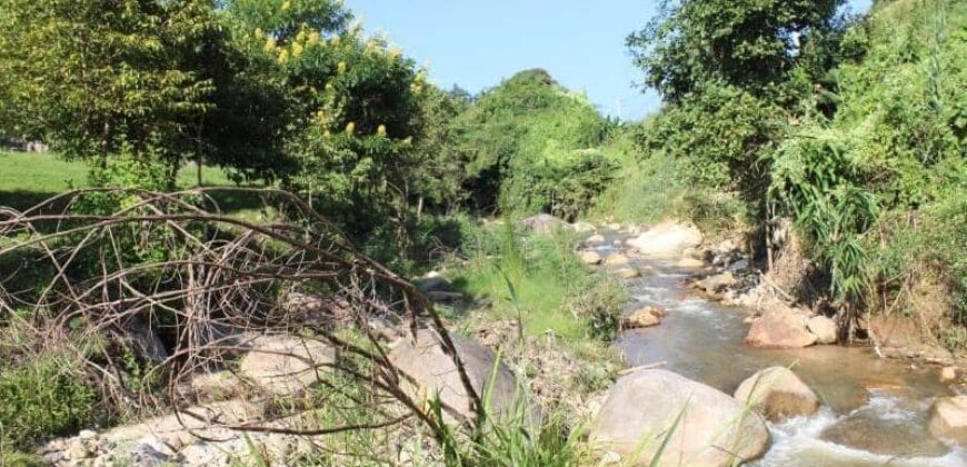 ที่ดินดอยสะเก็ด วิวสวยติด ถนน เชียงใหม่ – เชียงราย ต.ป่าเมี่ยง อ.ดอยสะเก็ด 