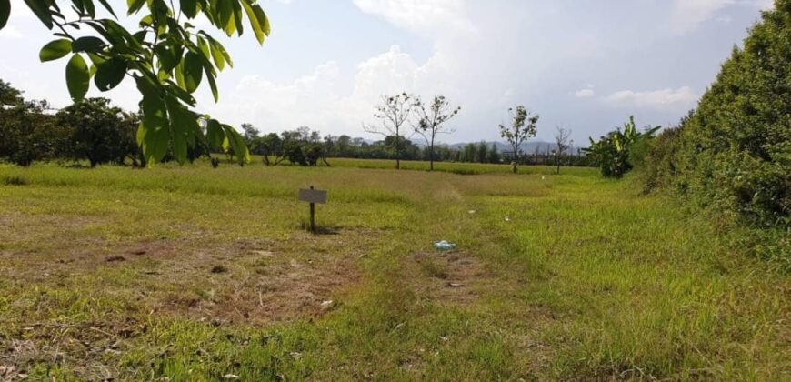 ที่ดินแปลงสวย ต.บ้านแหวน อ.หางดง ใกล้หมู่บ้านกุลพัน์วิลล์ 9