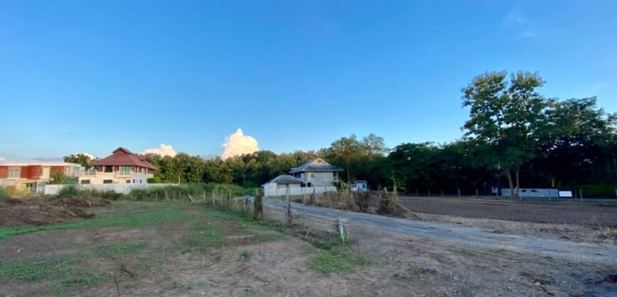 Land, Suthep Subdistrict, Mueang Chiang Mai District near Chiang Mai University