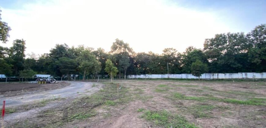 Land, Suthep Subdistrict, Mueang Chiang Mai District near Chiang Mai University