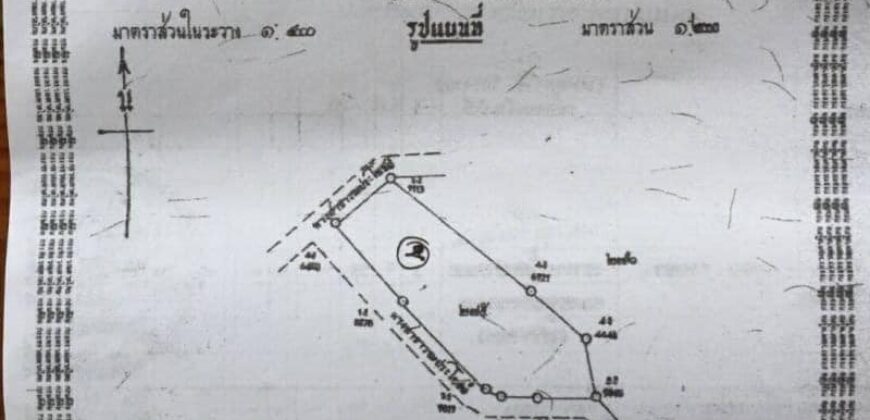 ที่ดินบนดอย วิวสวย ต.โป่งแยง อ.แม่ริม