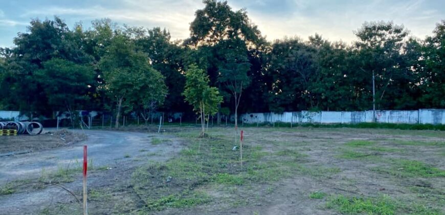 Land, Suthep Subdistrict, Mueang Chiang Mai District near Chiang Mai University