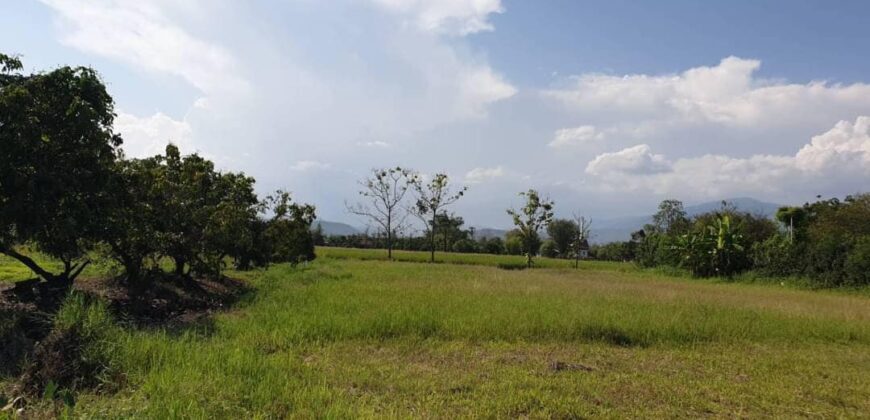 ที่ดินแปลงสวย ต.บ้านแหวน อ.หางดง ใกล้หมู่บ้านกุลพัน์วิลล์ 9