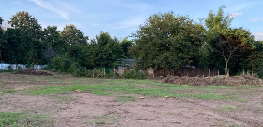 Land, Suthep Subdistrict, Mueang Chiang Mai District near Chiang Mai University