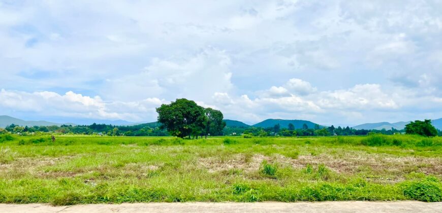 ที่ดินวิวดอย วิวทุ่งนา ต.ป่าป้อง อ.ดอยสะเก็ด สวยที่สุดในดอยสะเก็ด ใกล้สำนักงานเทศบาลตำบลป่าป้อง