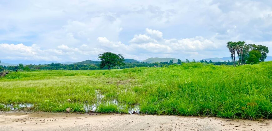 ที่ดินวิวดอย วิวทุ่งนา ต.ป่าป้อง อ.ดอยสะเก็ด สวยที่สุดในดอยสะเก็ด ใกล้สำนักงานเทศบาลตำบลป่าป้อง