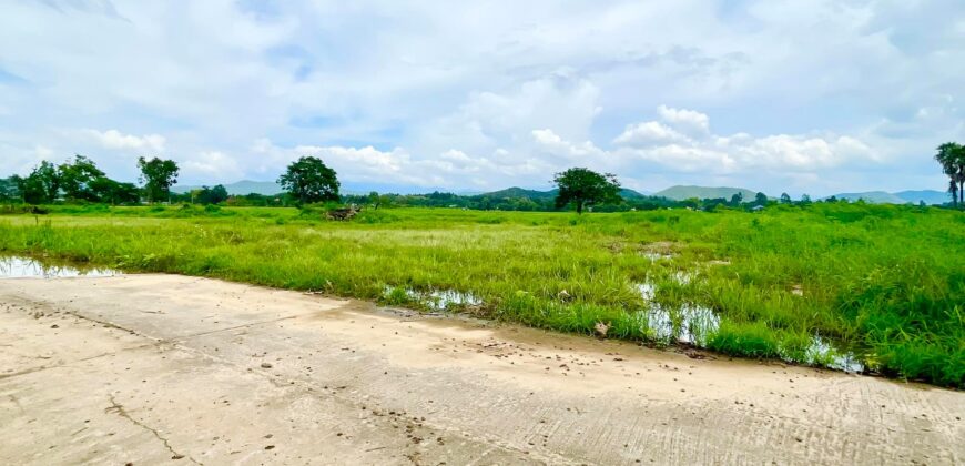 ที่ดินวิวดอย วิวทุ่งนา ต.ป่าป้อง อ.ดอยสะเก็ด สวยที่สุดในดอยสะเก็ด ใกล้สำนักงานเทศบาลตำบลป่าป้อง