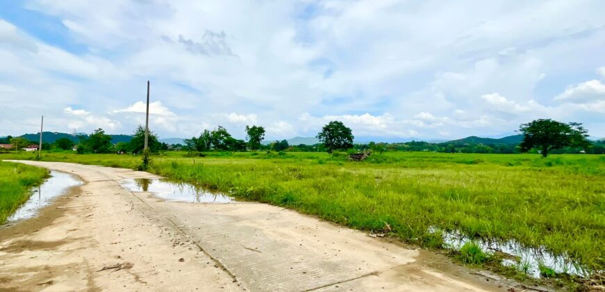 ที่ดินวิวดอย วิวทุ่งนา ต.ป่าป้อง อ.ดอยสะเก็ด สวยที่สุดในดอยสะเก็ด ใกล้สำนักงานเทศบาลตำบลป่าป้อง