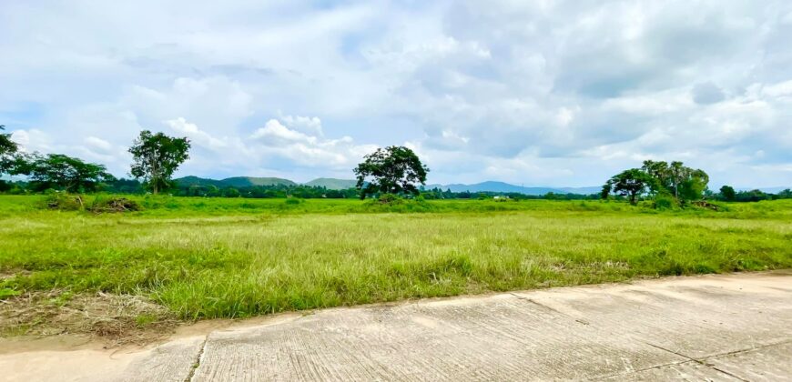 ที่ดินวิวดอย วิวทุ่งนา ต.ป่าป้อง อ.ดอยสะเก็ด สวยที่สุดในดอยสะเก็ด ใกล้สำนักงานเทศบาลตำบลป่าป้อง