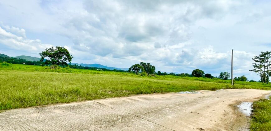 ที่ดินวิวดอย วิวทุ่งนา ต.ป่าป้อง อ.ดอยสะเก็ด สวยที่สุดในดอยสะเก็ด ใกล้สำนักงานเทศบาลตำบลป่าป้อง