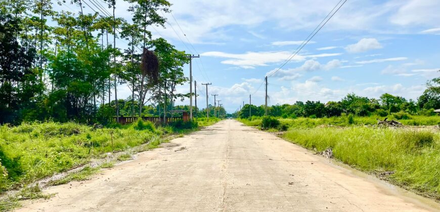 ที่ดินวิวดอย วิวทุ่งนา ต.ป่าป้อง อ.ดอยสะเก็ด สวยที่สุดในดอยสะเก็ด ใกล้สำนักงานเทศบาลตำบลป่าป้อง