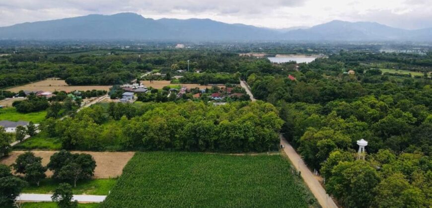 ที่ดิน ต.หนองหาร อ.สันทราย ใกล้สวนนงนุช มหาวิทยาลัยแม่โจ้