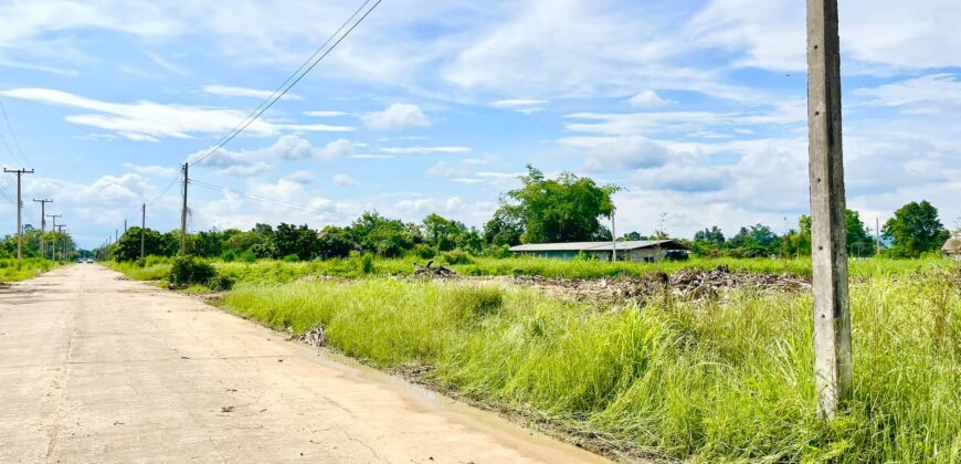 ที่ดินวิวดอย วิวทุ่งนา ต.ป่าป้อง อ.ดอยสะเก็ด สวยที่สุดในดอยสะเก็ด ใกล้สำนักงานเทศบาลตำบลป่าป้อง