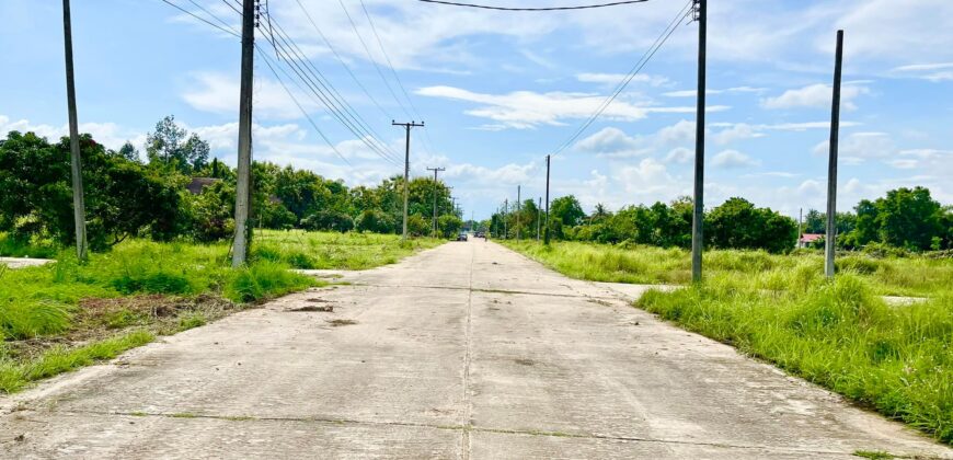 ที่ดินวิวดอย วิวทุ่งนา ต.ป่าป้อง อ.ดอยสะเก็ด สวยที่สุดในดอยสะเก็ด ใกล้สำนักงานเทศบาลตำบลป่าป้อง