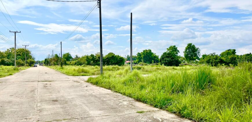 ที่ดินวิวดอย วิวทุ่งนา ต.ป่าป้อง อ.ดอยสะเก็ด สวยที่สุดในดอยสะเก็ด ใกล้สำนักงานเทศบาลตำบลป่าป้อง