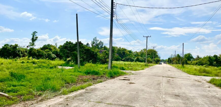 ที่ดินวิวดอย วิวทุ่งนา ต.ป่าป้อง อ.ดอยสะเก็ด สวยที่สุดในดอยสะเก็ด ใกล้สำนักงานเทศบาลตำบลป่าป้อง