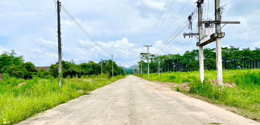 ที่ดินวิวดอย วิวทุ่งนา ต.ป่าป้อง อ.ดอยสะเก็ด สวยที่สุดในดอยสะเก็ด ใกล้สำนักงานเทศบาลตำบลป่าป้อง