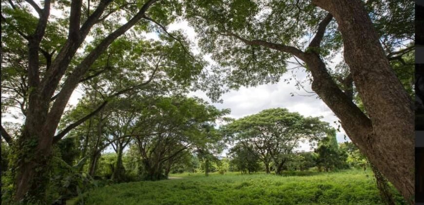 ที่ดินทำเลดี ต.ท่าวังตาล อ.สารภี ใกล้ถนนวงแหวนรอบ 3 เพียง 600 เมตร