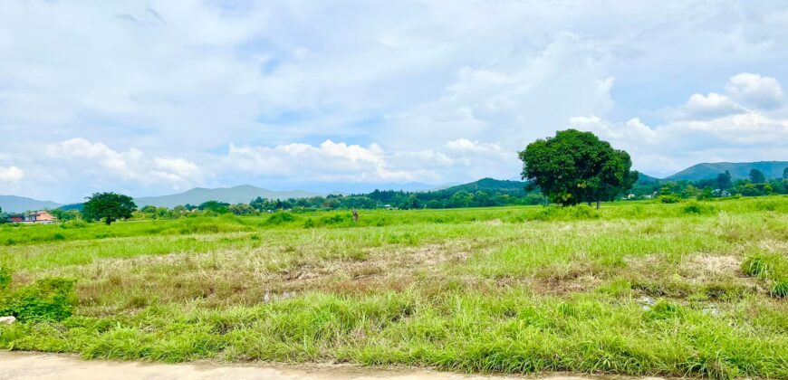 ที่ดินวิวดอย วิวทุ่งนา ต.ป่าป้อง อ.ดอยสะเก็ด สวยที่สุดในดอยสะเก็ด ใกล้สำนักงานเทศบาลตำบลป่าป้อง