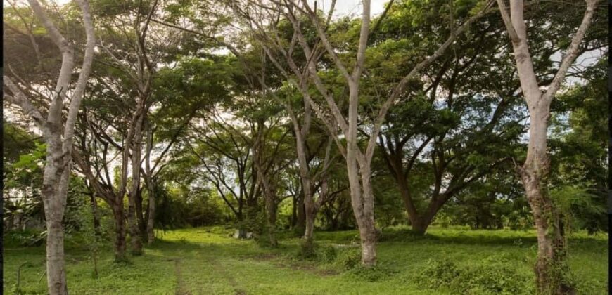 ที่ดินทำเลดี ต.ท่าวังตาล อ.สารภี ใกล้ถนนวงแหวนรอบ 3 เพียง 600 เมตร