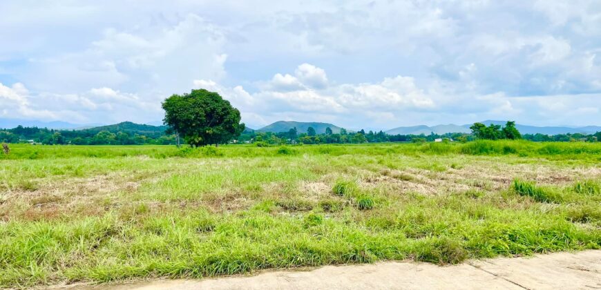 ที่ดินวิวดอย วิวทุ่งนา ต.ป่าป้อง อ.ดอยสะเก็ด สวยที่สุดในดอยสะเก็ด ใกล้สำนักงานเทศบาลตำบลป่าป้อง