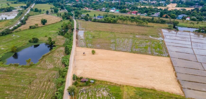 ที่ดินวิวทุ่งนาปรับถมแล้ว ต.บวกค้าง อ.สันกำแพง ใกล้เทศบาลตำบลบวกค้าง