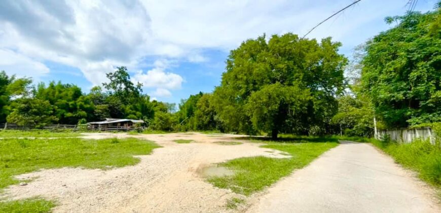 ที่ดิน ต.บ้านกลาง อ.สันป่าตอง ใกล้โรงเรียนบ้านทุ่งเสี้ยว ถนนเส้นเชียงใหม่ – ฮอด เพียง 200 เมตร