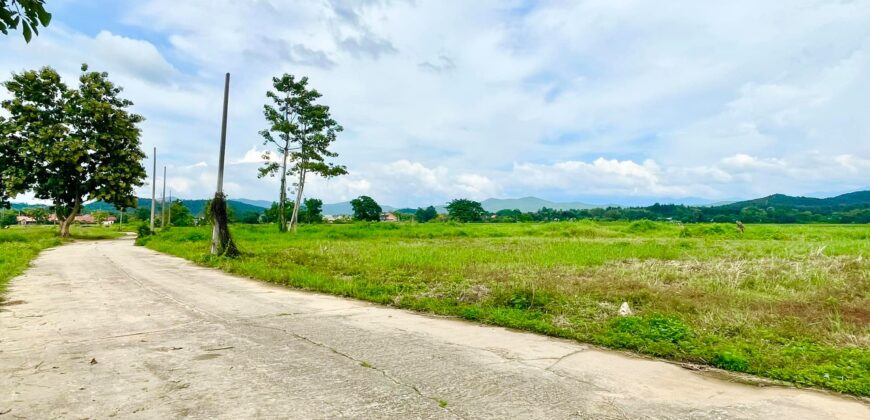 ที่ดินวิวดอย วิวทุ่งนา ต.ป่าป้อง อ.ดอยสะเก็ด สวยที่สุดในดอยสะเก็ด ใกล้สำนักงานเทศบาลตำบลป่าป้อง