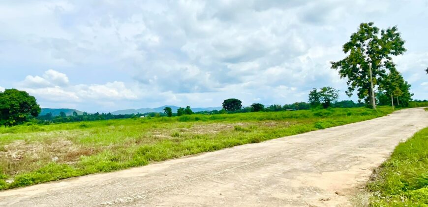 ที่ดินวิวดอย วิวทุ่งนา ต.ป่าป้อง อ.ดอยสะเก็ด สวยที่สุดในดอยสะเก็ด ใกล้สำนักงานเทศบาลตำบลป่าป้อง