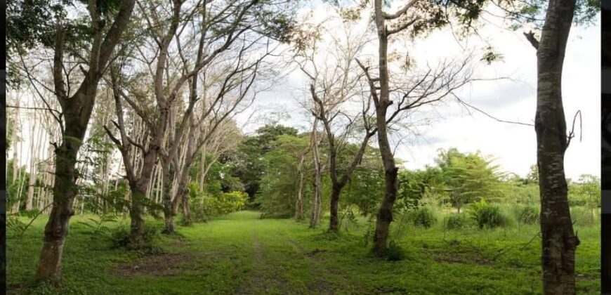 ที่ดินทำเลดี ต.ท่าวังตาล อ.สารภี ใกล้ถนนวงแหวนรอบ 3 เพียง 600 เมตร