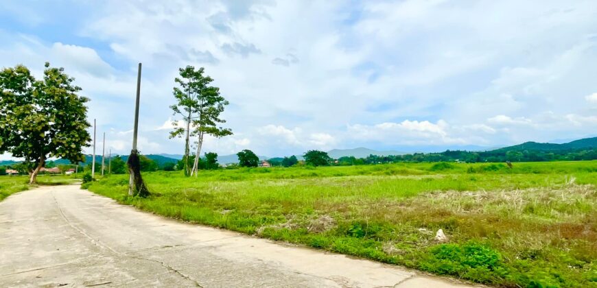 ที่ดินวิวดอย วิวทุ่งนา ต.ป่าป้อง อ.ดอยสะเก็ด สวยที่สุดในดอยสะเก็ด ใกล้สำนักงานเทศบาลตำบลป่าป้อง