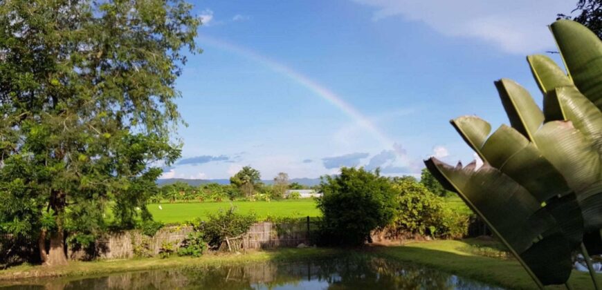 บ้านสวน วิวดอย วิวทุ่งนา เนื้อที่เยอะ ต.เชิงดอย อ.ดอยสะเก็ด ใกล้วัดสุขเกษม โรงพยาบาลดอยสะเก็ด