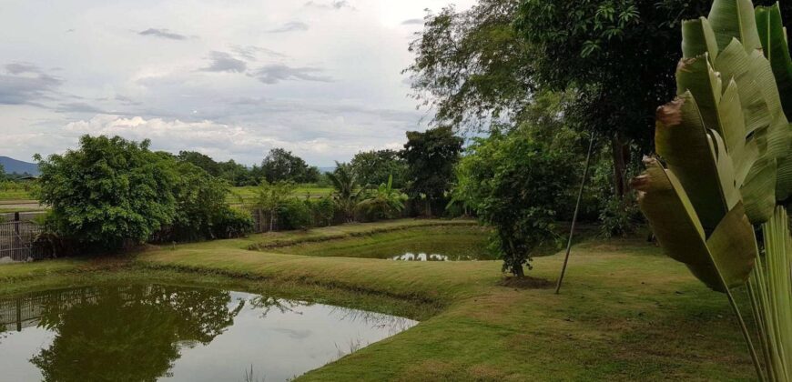 บ้านสวน วิวดอย วิวทุ่งนา เนื้อที่เยอะ ต.เชิงดอย อ.ดอยสะเก็ด ใกล้วัดสุขเกษม โรงพยาบาลดอยสะเก็ด