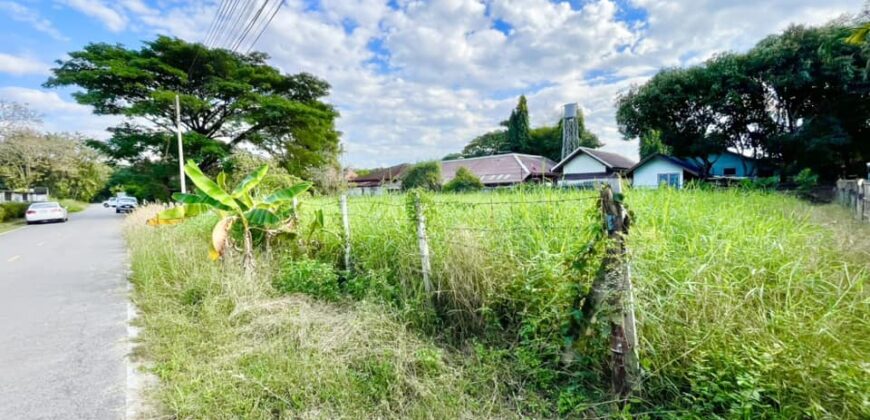 ที่ดิน ต.หนองผึ้ง อ.สารภี ใกล้ถนนเส้นต้นยาง แยกกองทราย วิทยาลัยเทคนิคสารภี